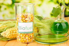 Hazards Green biofuel availability